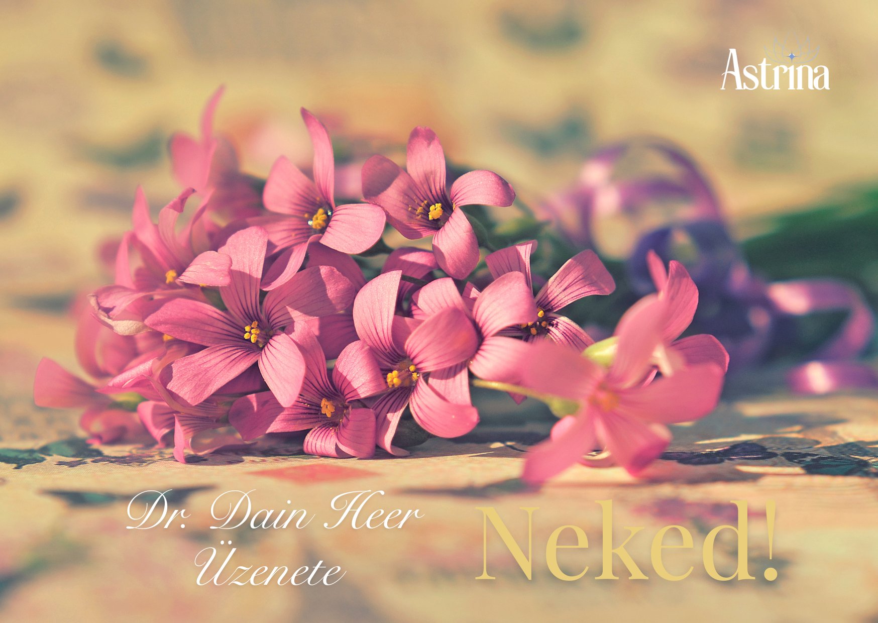 Dr. Dain Heer Üzenete NEKED!